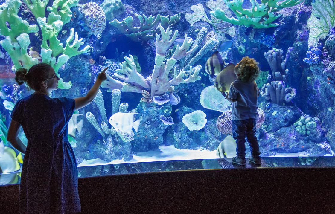 media.Buoni-motivi-servizi-03-Hotel-Aqua-Cattolica